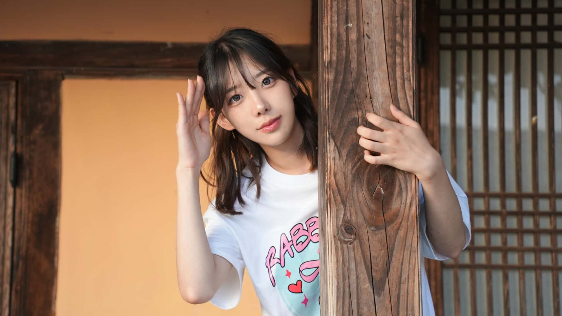 视觉数据4